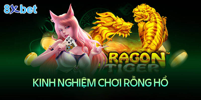 Kinh nghiệm chơi rồng hổ 8XBet Casino luôn thắng lớn